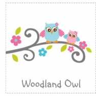 Woodland Owl Baby Shower